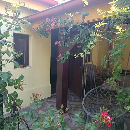 Casa Bunicilor Apartment Cisnadie Luaran gambar
